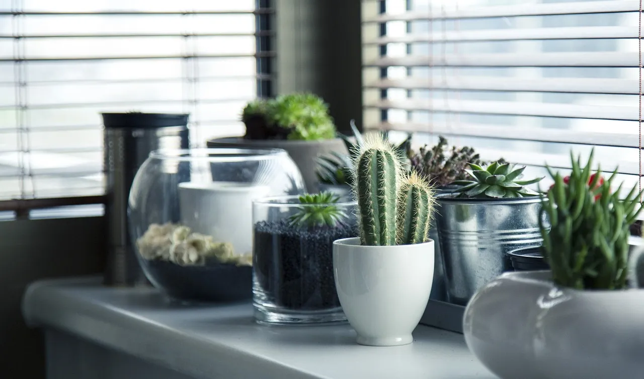 Transform Your Space with These Trendy Home Decor Products